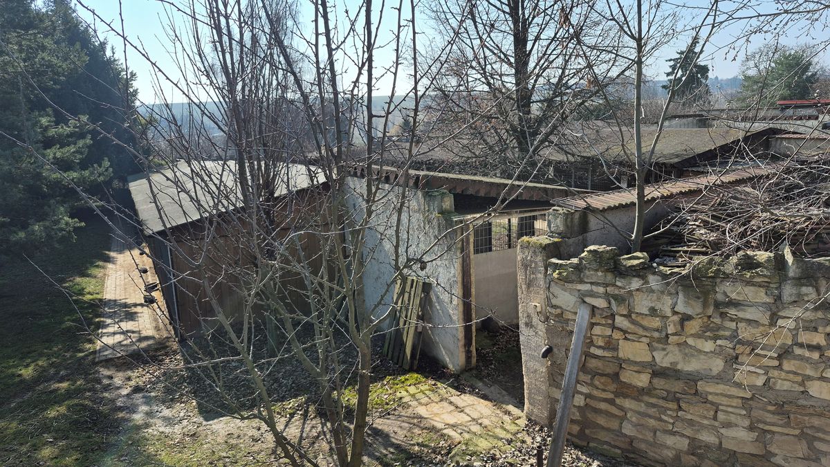 Psí útulek Bouchalka bude po podezření z týrání víc pod kontrolou